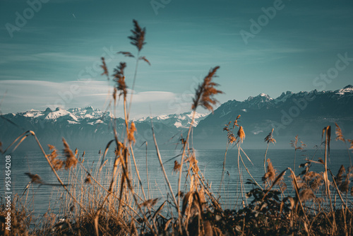 Geneve lake. Switzerland. Mountain. 