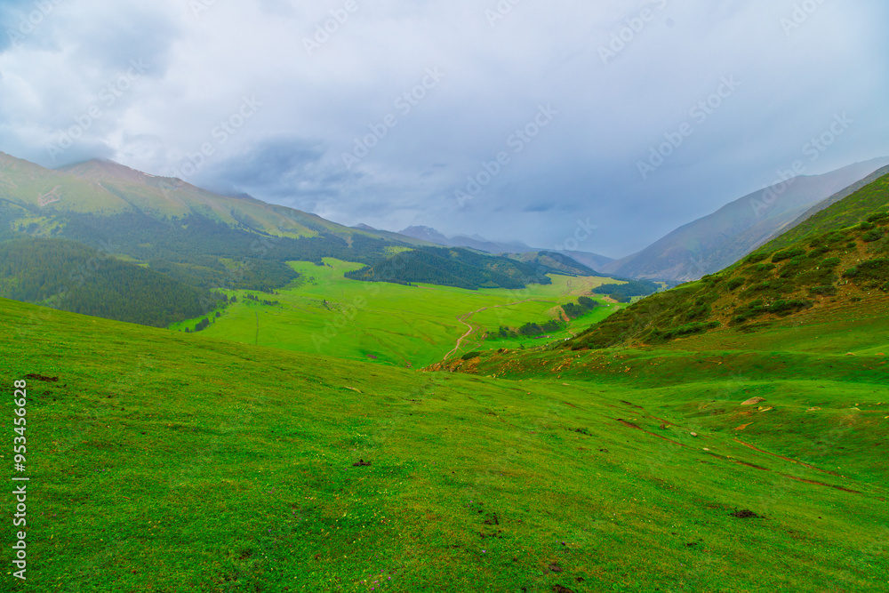 Fototapeta premium green grass covered mountains at overcast rainy summer day
