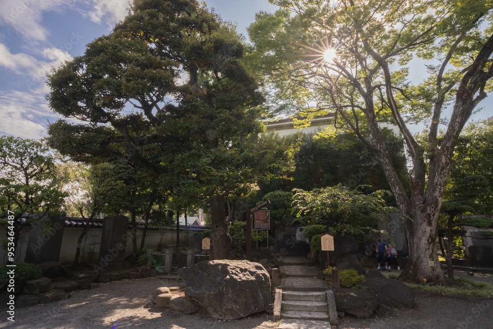 Garden in Sensō-ji or Asakusa Kannon Temple, Tokyo, Japan