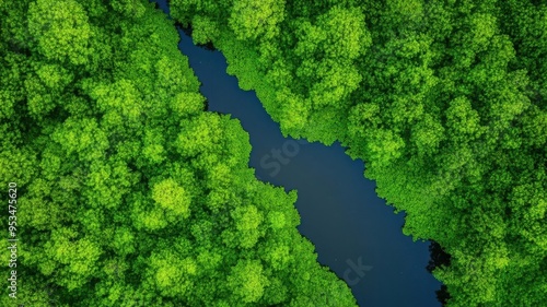 Aerial view of a lush green forest with a winding river cutting through the vibrant foliage, showcasing the beauty of nature and tranquility.