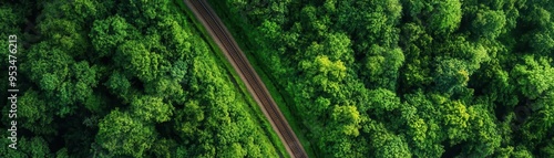 Aerial view of a winding road through lush green forest, showcasing nature's serenity and beauty from above.