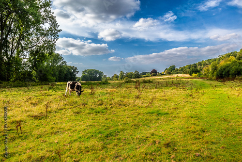 Waterford Heath is a 35.2 hectare Local Nature Reserve in Waterford, Hertfordshire, England.