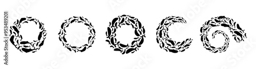 Elegant fish formations forming spirals in the water. These unique underwater school shapes display the beauty of marine life and can be used in aquatic illustrations and logo graphic design.