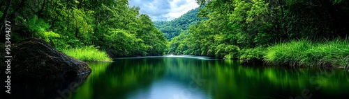 Calm River Flowing Through Lush Green Forest