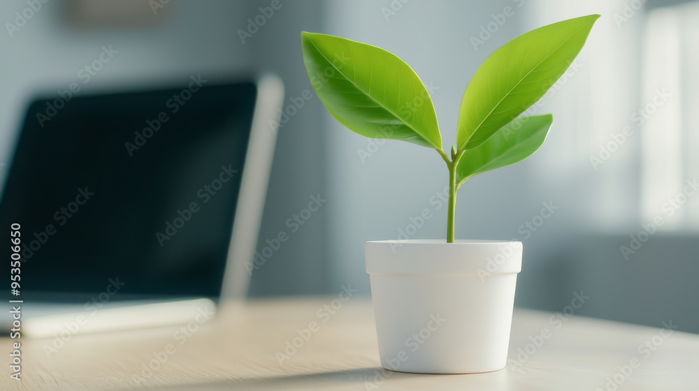 A fresh green plant in a white pot on a wooden table, symbolizing growth and renewal in a workspace environment. A fresh green plant in a white pot on a wooden table, symbolizing growth and renewal in a workspace environment.