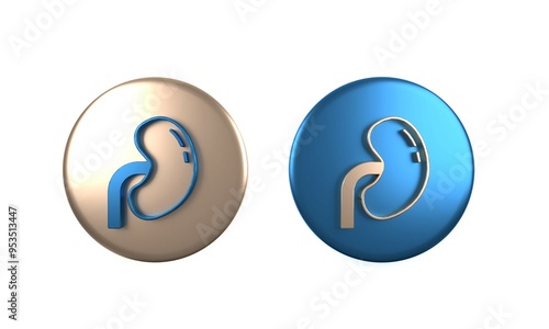 Colorful Human kidney icon isolated on white background. Circle button. 3D render illustration