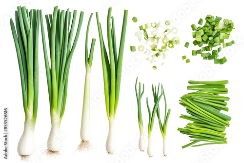 Different stages and parts of scallions green onions, including a full bunch, a single trimmed green onion, and chopped green onion leaves on an isolated background photo