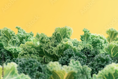 A close up of a bunch of green leaves of a plant