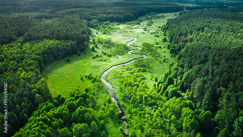 Stunning aerial view of winding river and forest in summer