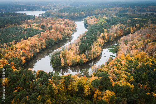 Foggy forest and river in autumn, aerial view of Poland