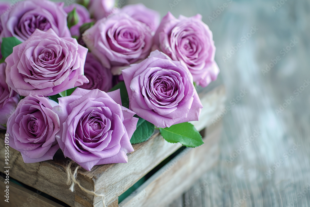 Purple roses in a wooden box on the table Purple roses in a wooden box on the table