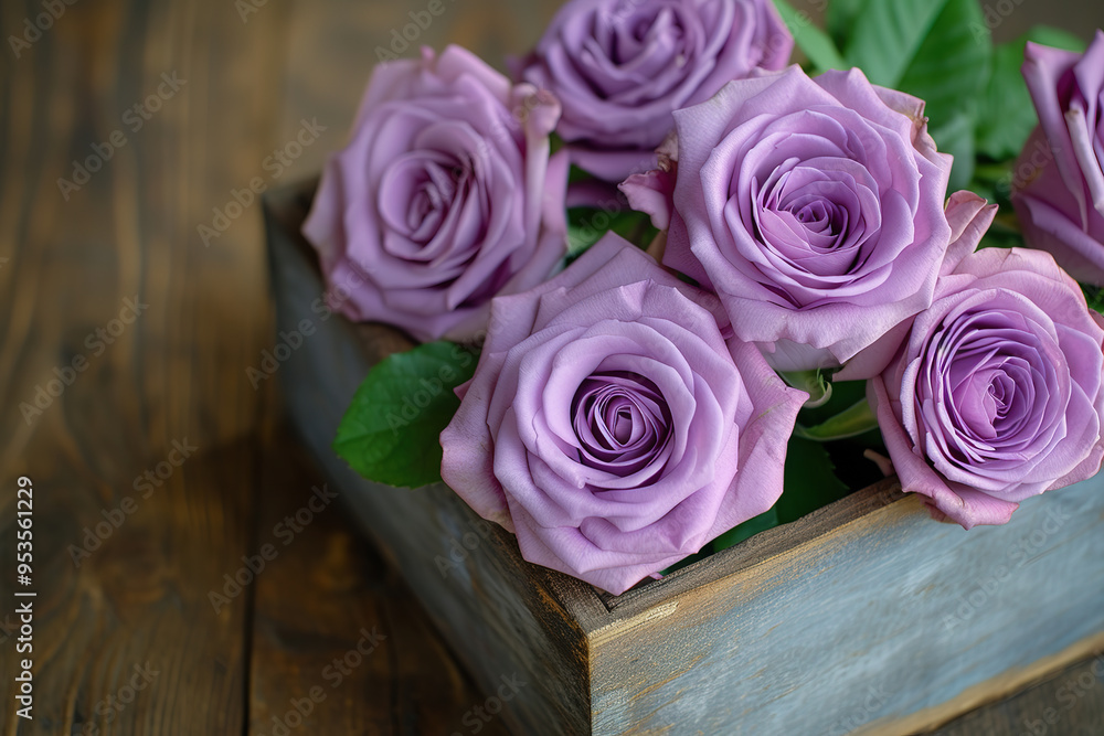 Purple roses in a wooden box on the table Purple roses in a wooden box on the table