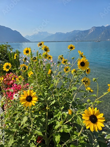 Montreux