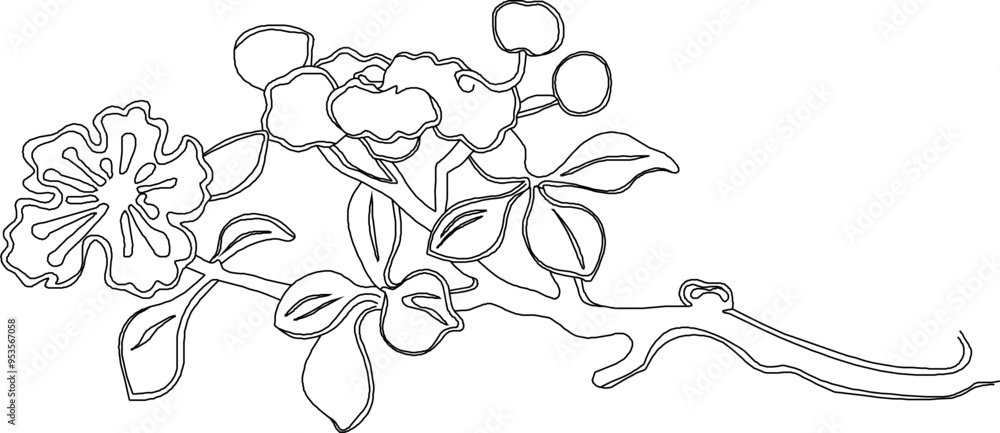 Vector sketch, illustration, silhouette, design, frame, background, pattern, natural floral ornament, classic vintage, ethnic, traditional Chinese Vector sketch, illustration, silhouette, design, frame, background, pattern, natural floral ornament, classic vintage, ethnic, traditional Chinese