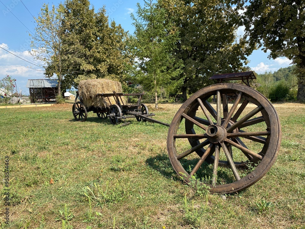 Fototapeta premium old farm wagon in the park
