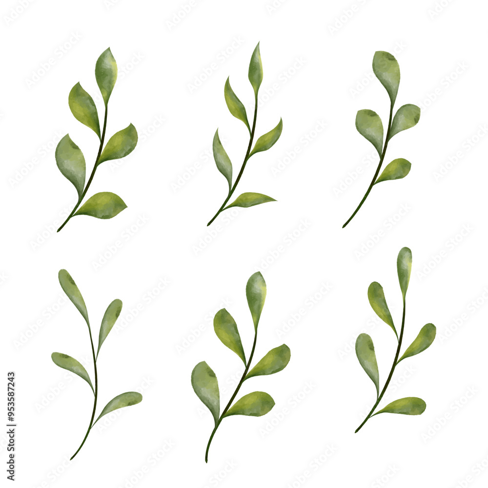 Fototapeta premium Nature-Inspired watercolor Leaf Branches collection, isolated on white background