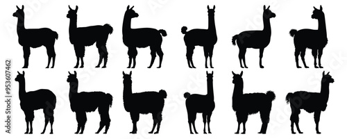 Llama silhouettes set, animal pack of vector silhouette design, isolated background