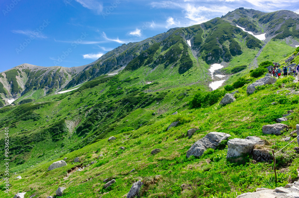 Fototapeta premium 立山