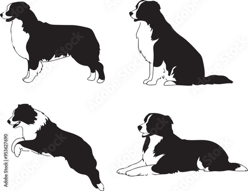 Australian Shepherd Dog Cartoon Silhouette Vector Bundle