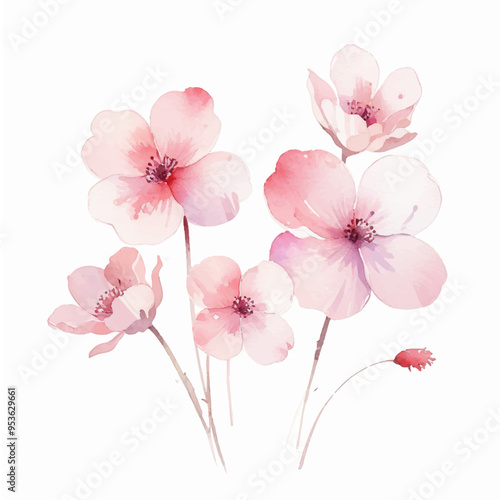 Watercolor Pink flowers on white background