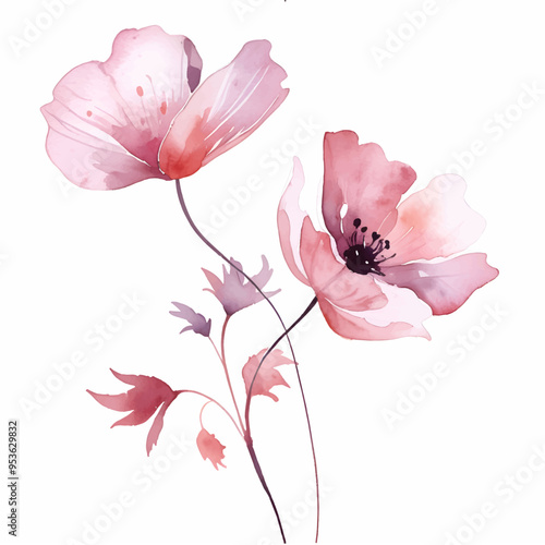 Watercolor Pink flowers on white background