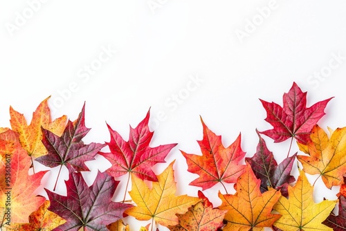 Autumn Maple Leaves Flat Lay White Background created with Generative AI