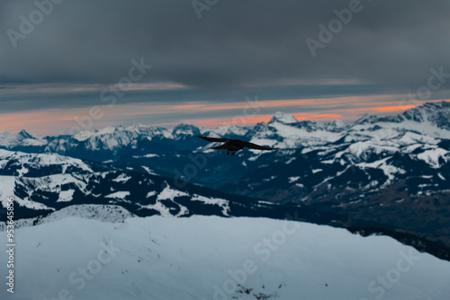 crows over a ski resort. drama sky. high resolution photo. photo