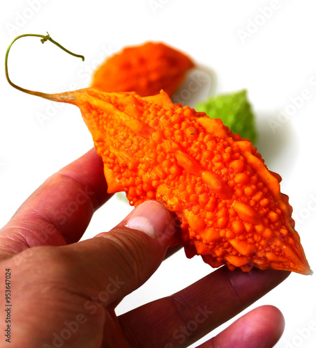 ripe and yellowed Momordica charantia (Mother melon) seeds of Momordica charantia, a medicinal fruit,