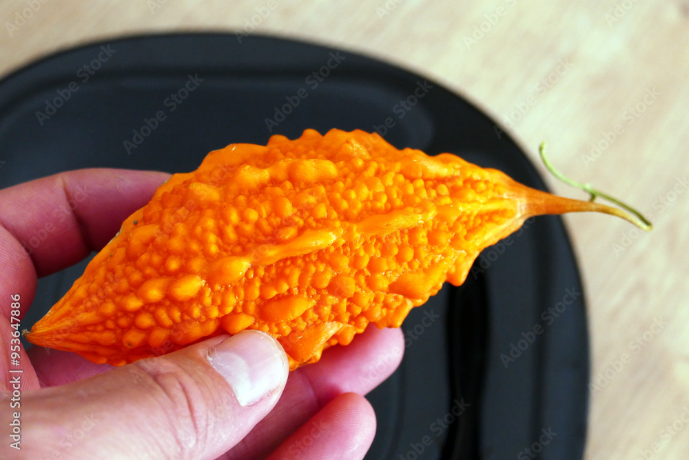 ripe and yellowed Momordica charantia (Mother melon) seeds of Momordica charantia, a medicinal fruit,