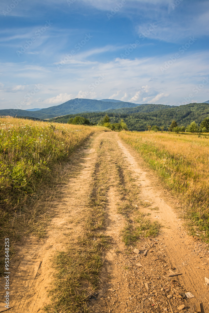 Embark on a scenic journey along a dirt road, exploring natures beautiful landscapes Embark on a scenic journey along a dirt road, exploring natures beautiful landscapes