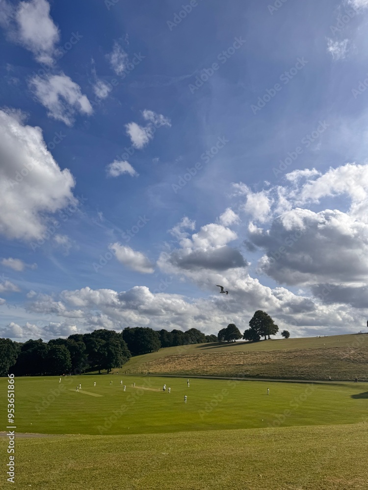 Obraz premium British summer cricket game