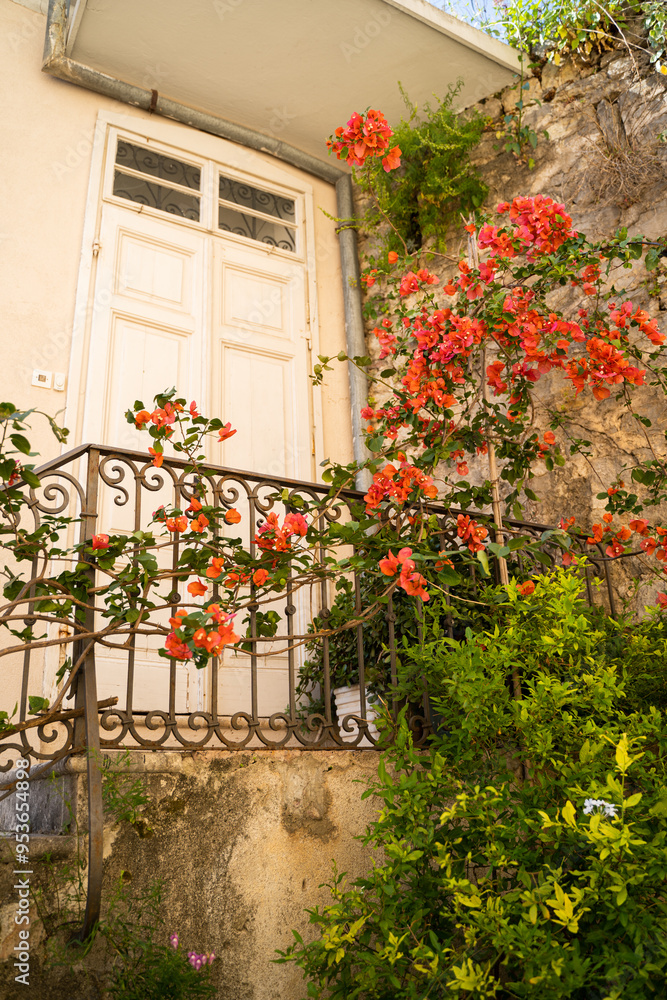 Naklejka premium Beautiful flowers at the entrance to the house.