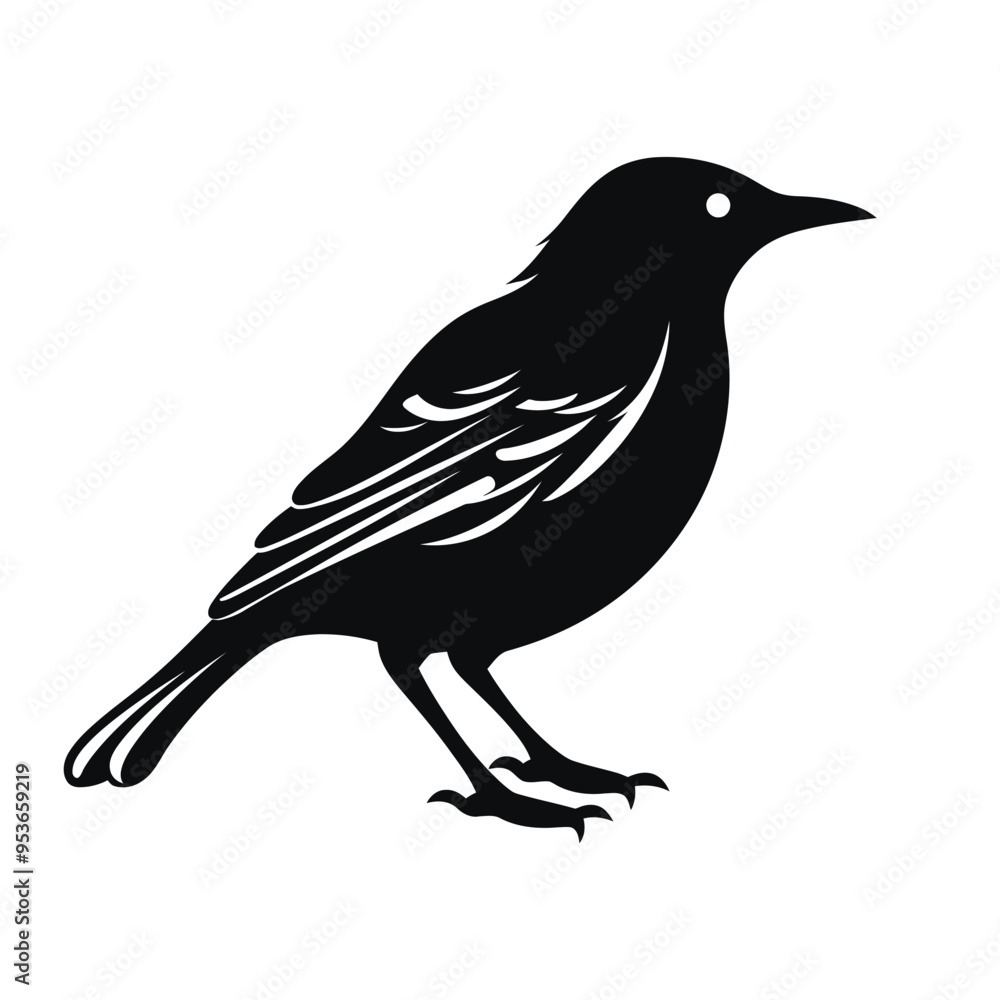 Fototapeta premium black silhouette of a starling isolated on white background 