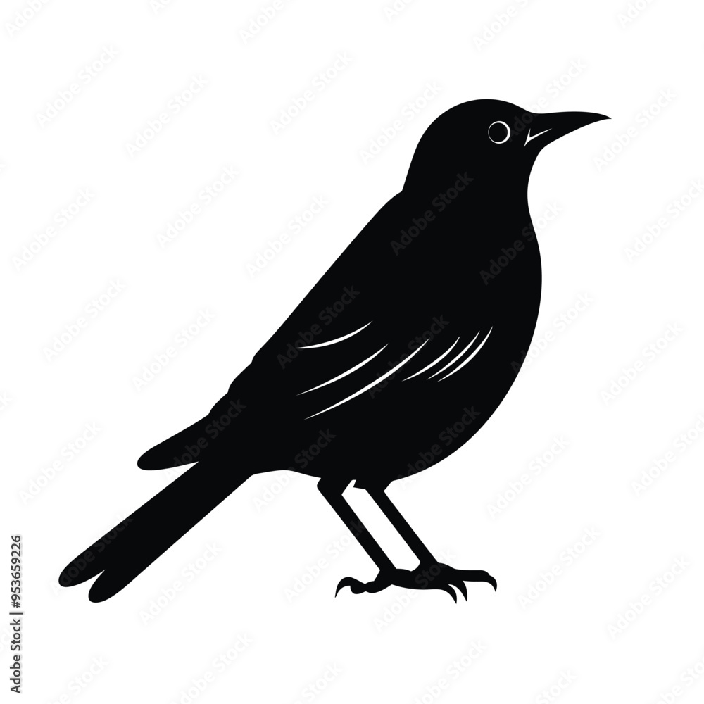 Obraz premium black silhouette of a starling isolated on white background 