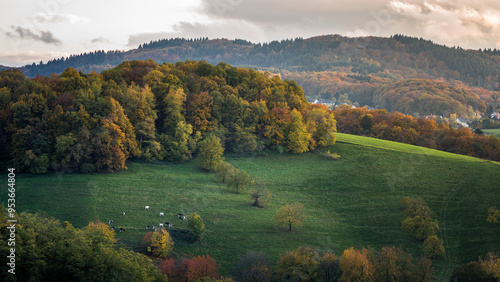Fotografía Trösel, Gorxheimertal, Odenwald
