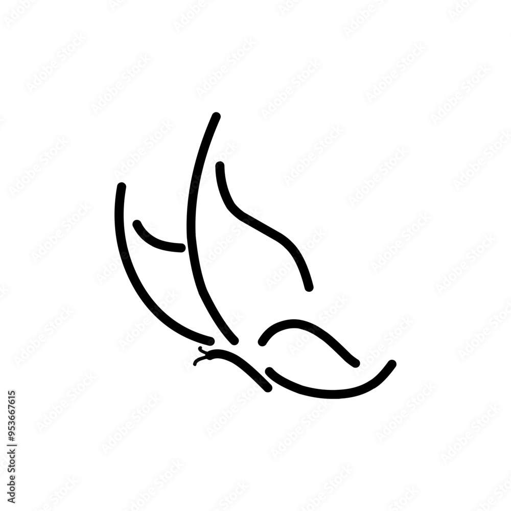 Butterfly vector icon Butterfly vector icon
