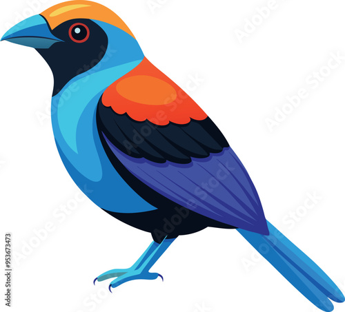 paradise tanager bird with white background