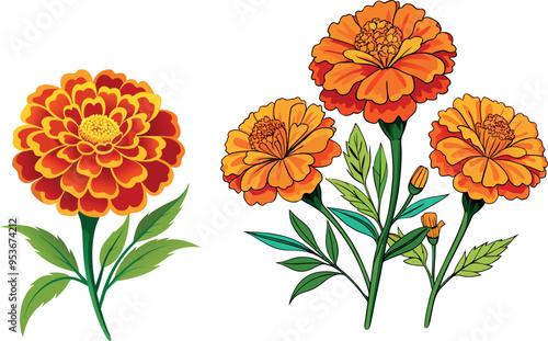 Marigold Flower set