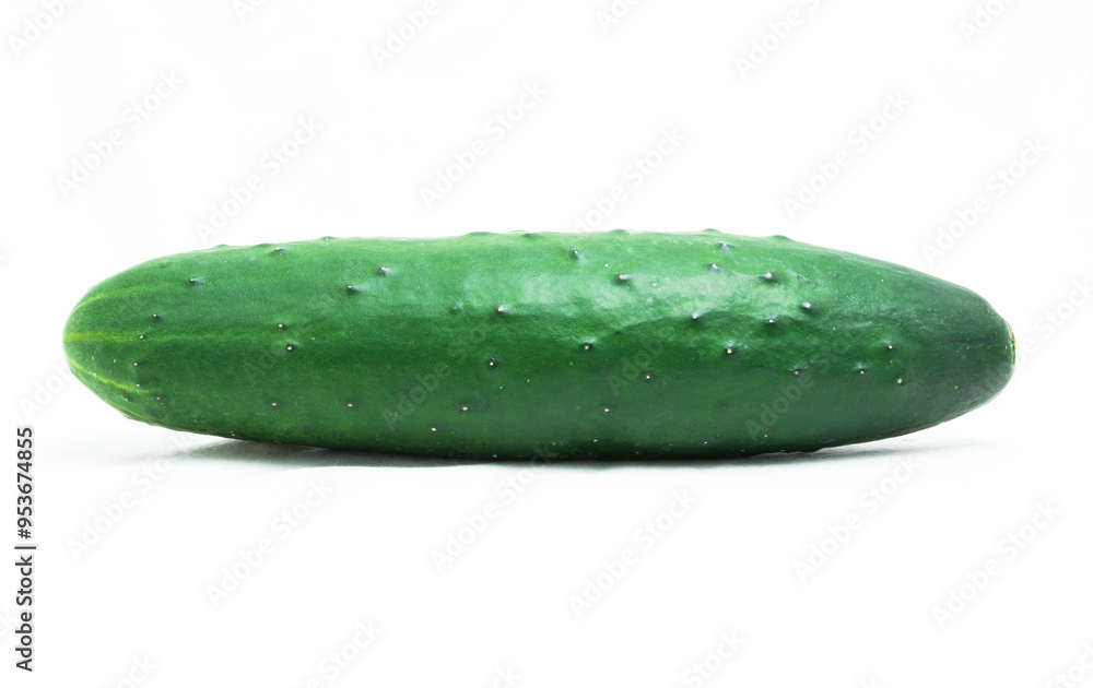 cucumber isolated on a white background cucumber isolated on a white background