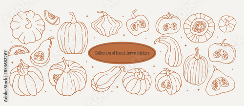 Cozy pumpkin graphic set. Includes hand drawn line doodle art drawings of various pumpkins. Vintage autumn clipart ink stickers in retro style. Thanksgiving Day concept.	