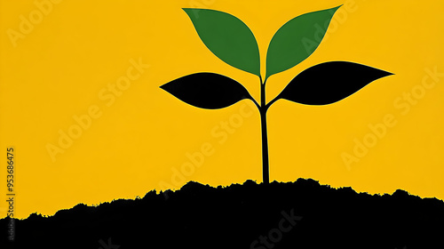 A single plant with green l...