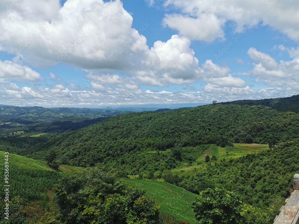 Obraz premium Coffee, Sky Road, Mountain View, Thailand
