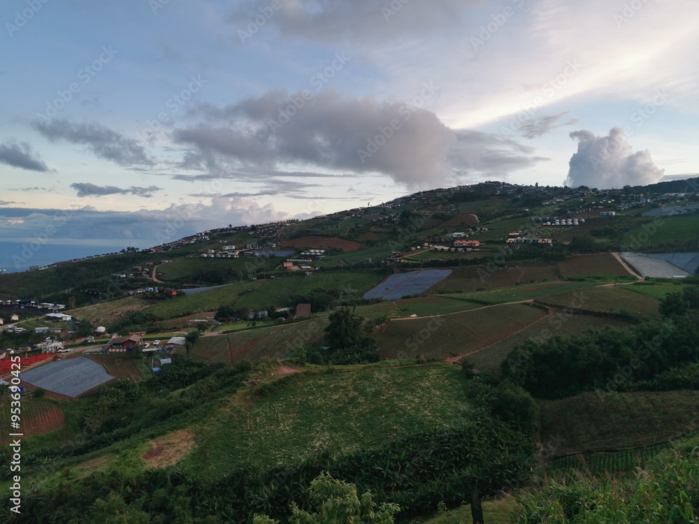 Fototapeta premium Coffee, Sky Road, Mountain View, Thailand