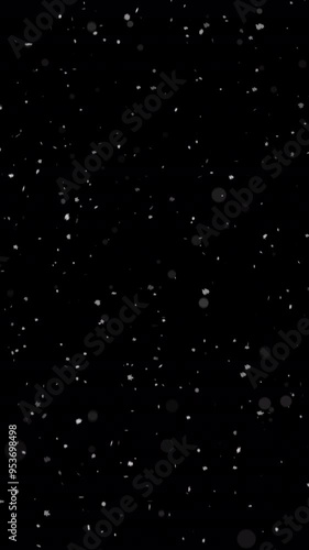 Vertical falling snow animation, winter snow seamless loop. ProRes4444 - HD with alpha channel. Just paste into your project.
