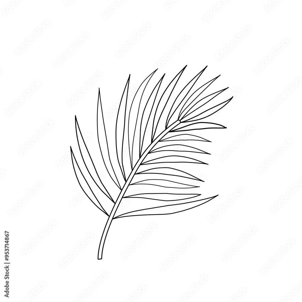 palm line art palm line art