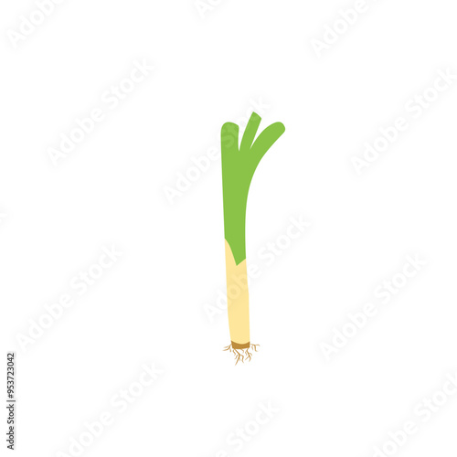 illustration of leek plant