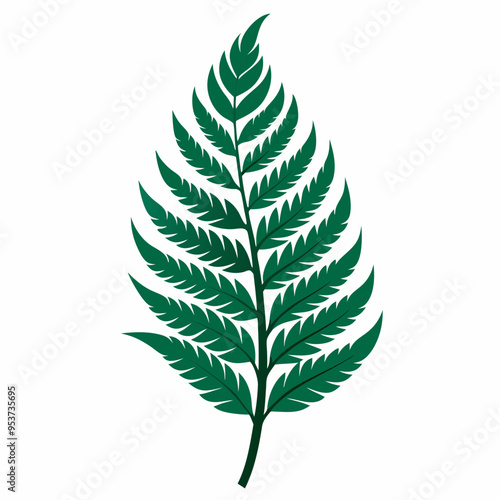 Fern Leaf Silhouette Isolated on White