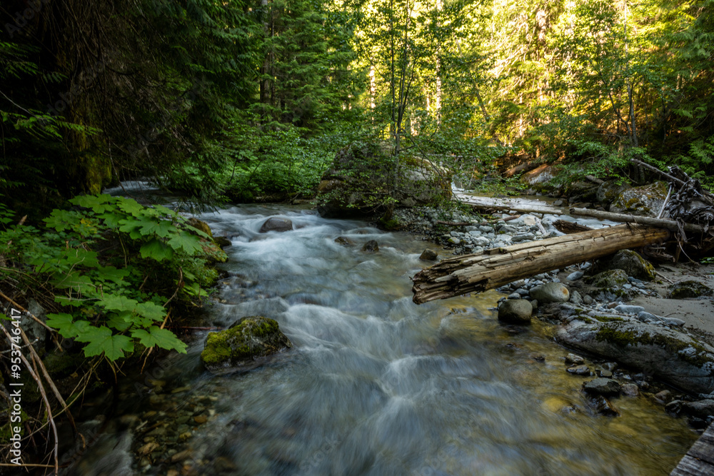 Panther Creek Rushes Around Corner Filled With Debris Panther Creek Rushes Around Corner Filled With Debris
