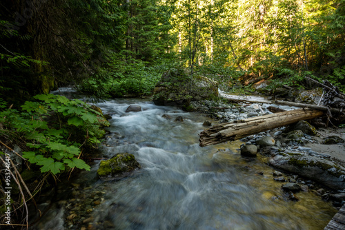Panther Creek Rushes Around Corner Filled With Debris