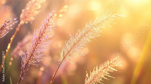 Delicate grass flowers with morning dew, glowing under the sunlight, set against a peaceful naturistic background